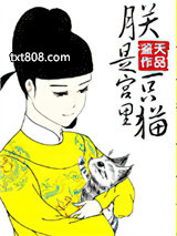 朕是宫里一只喵图片