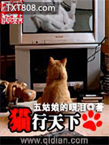 猫行天下图片