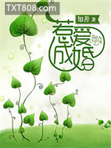 总裁惹爱成婚图片