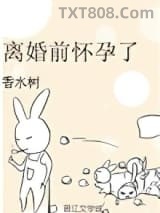 离婚前怀孕了图片