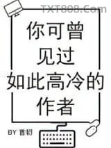 《你可曾见过如此高冷的作者》全本TXT下载-作者：首初