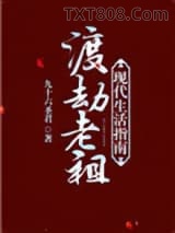 渡劫老祖现代生活指南