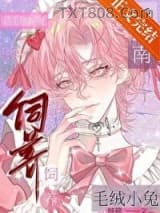 毛绒小兔饲养指南图片