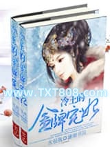冷王的金牌宠妃图片