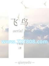 飞鸟图片
