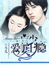 盲少爱妻上瘾图片
