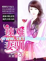 婚后交锋之辣妻难驯图片