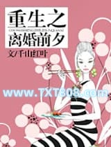 重生之离婚前夕图片