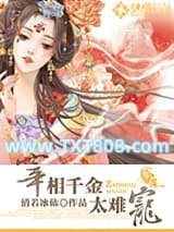 宰相千金太难宠图片