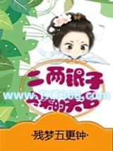 二两银子买来的夫君图片