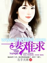 一妻难求图片