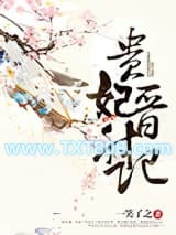 贵妃晋升记图片
