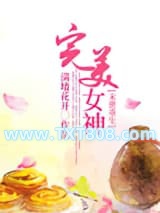 [末世]重生之完美女神图片