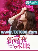 新婚夜未眠图片