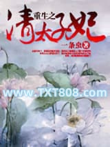 重生之清太子妃图片