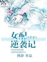 穿书女配逆袭记图片