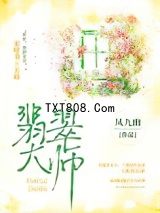 翡翠大师图片