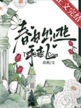 春日出逃手札图片