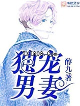 独宠男妻图片