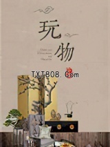 《玩物》全本TXT下载-作者：江亭