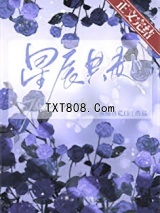 星辰共赴[古穿未]图片