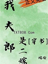 《我夫郎是二嫁[穿书]》全本TXT下载-作者：端瑜