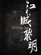 《江城黎明》全本TXT下载-作者：风徒石头