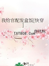 我给官配发盒饭[快穿]图片