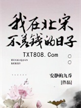 我在北宋不差钱的日子图片