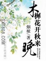 木樨花开秋来晚图片