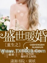 《重生之盛世暖婚》全本TXT下载-作者：翼妖