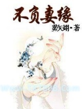 不负妻缘图片