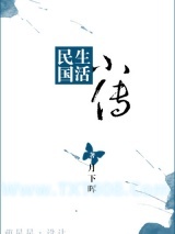 《民国生活小传》全本TXT下载-作者：月下晖