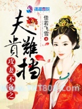 《攻妻不备之夫贵难挡》全本TXT下载-作者：佳若飞雪