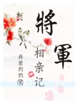 将军相亲记图片