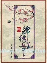 《恰锦绣华年》全本TXT下载-作者：灵犀阁主