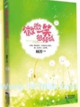 微微一笑很倾城（出书版）图片