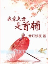 我家夫君是首辅