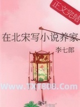 《在北宋写小说养家》全本TXT下载-作者：李七郎