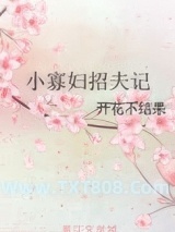 小寡妇招夫记图片