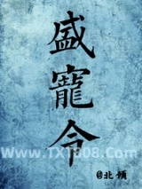 盛宠令（医手遮天）图片