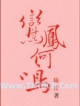 《鸾凤何鸣》全本TXT下载-作者：陆柠