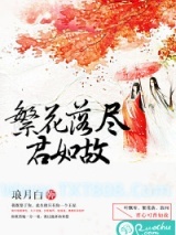 繁花落尽君如故图片
