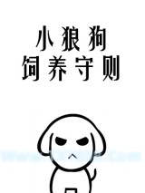 小狼狗饲养守则