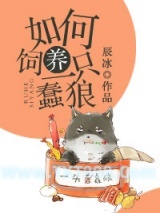 《如何饲养一只蠢狼》全本TXT下载-作者：辰冰