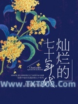 《灿烂的七十年代》全本TXT下载-作者：轻卿