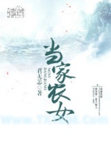 《当家农女》全本TXT下载-作者：君无恙
