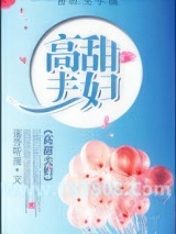 《高甜夫妇》全本TXT下载-作者：弦外听雨