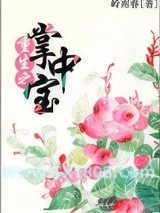 重生之掌中宝