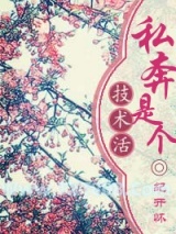 私奔是个技术活图片